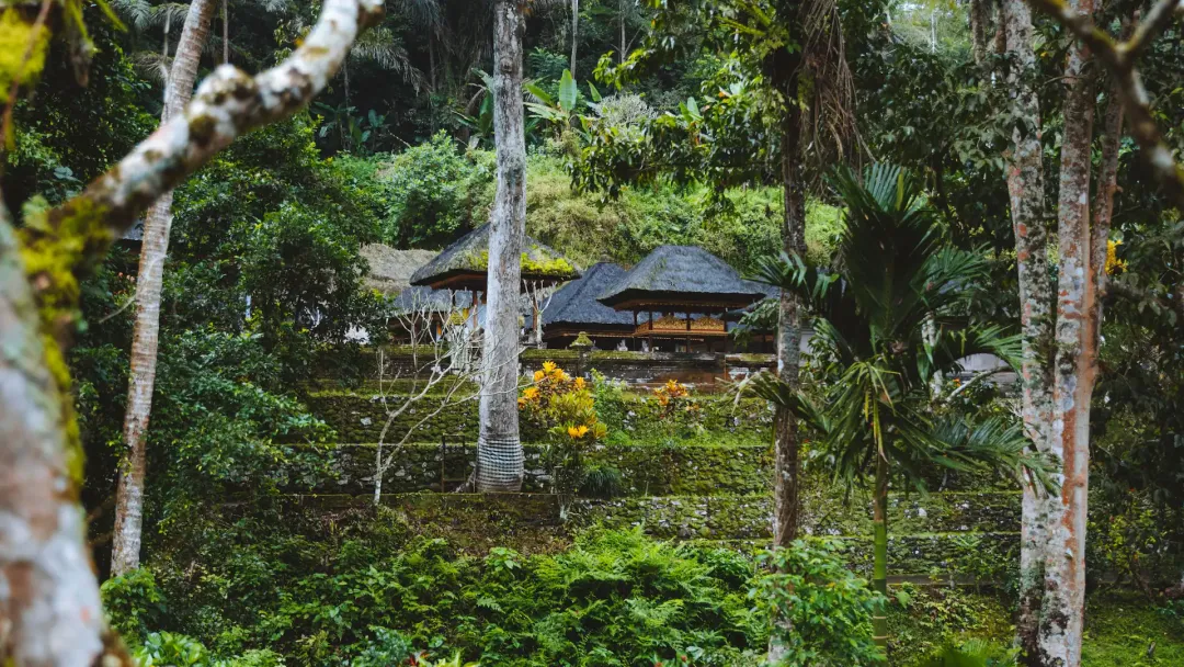 Alila Ubud - Villa View