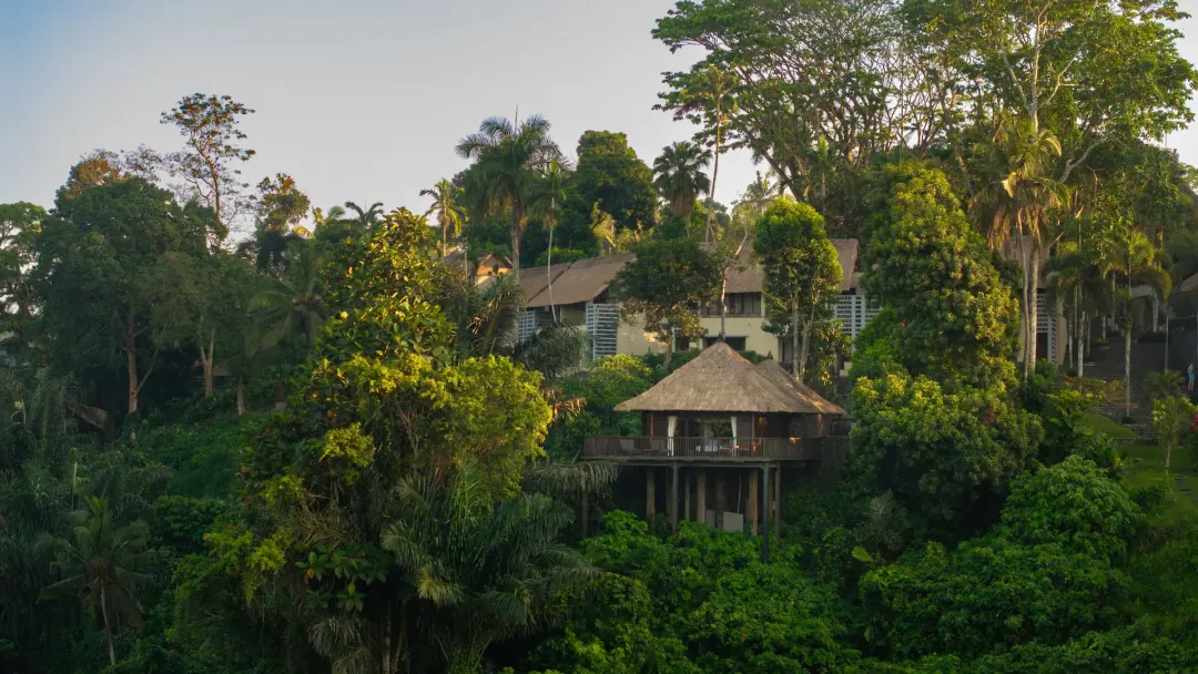 Alila Ubud - Vally Villa View
