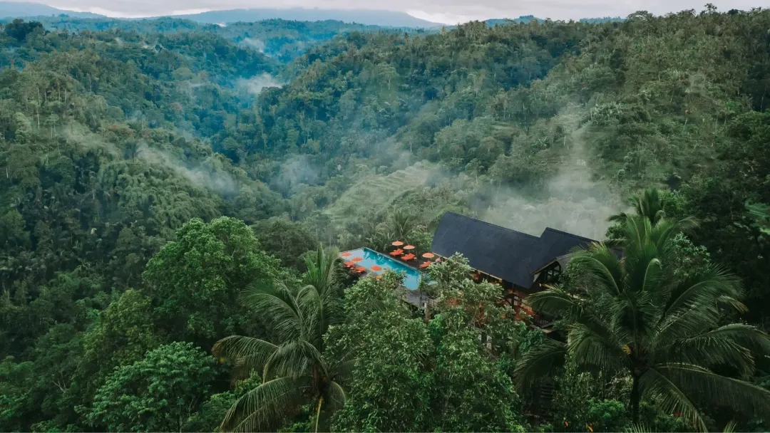 Buahan, a Banyan Tree Escape  - Resort Aerial View