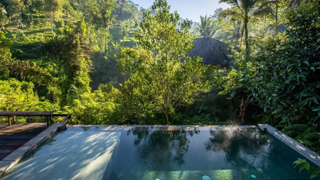 Rainforest Pool Bale - Pool