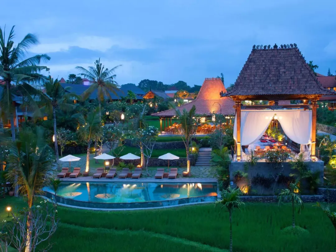 Odysseys Travel - Alaya Ubud - Resort View