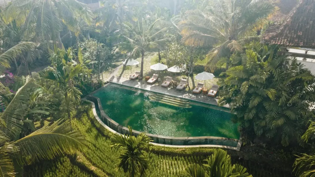 Odysseys Travel - Alaya Ubud -Outdoor Pool