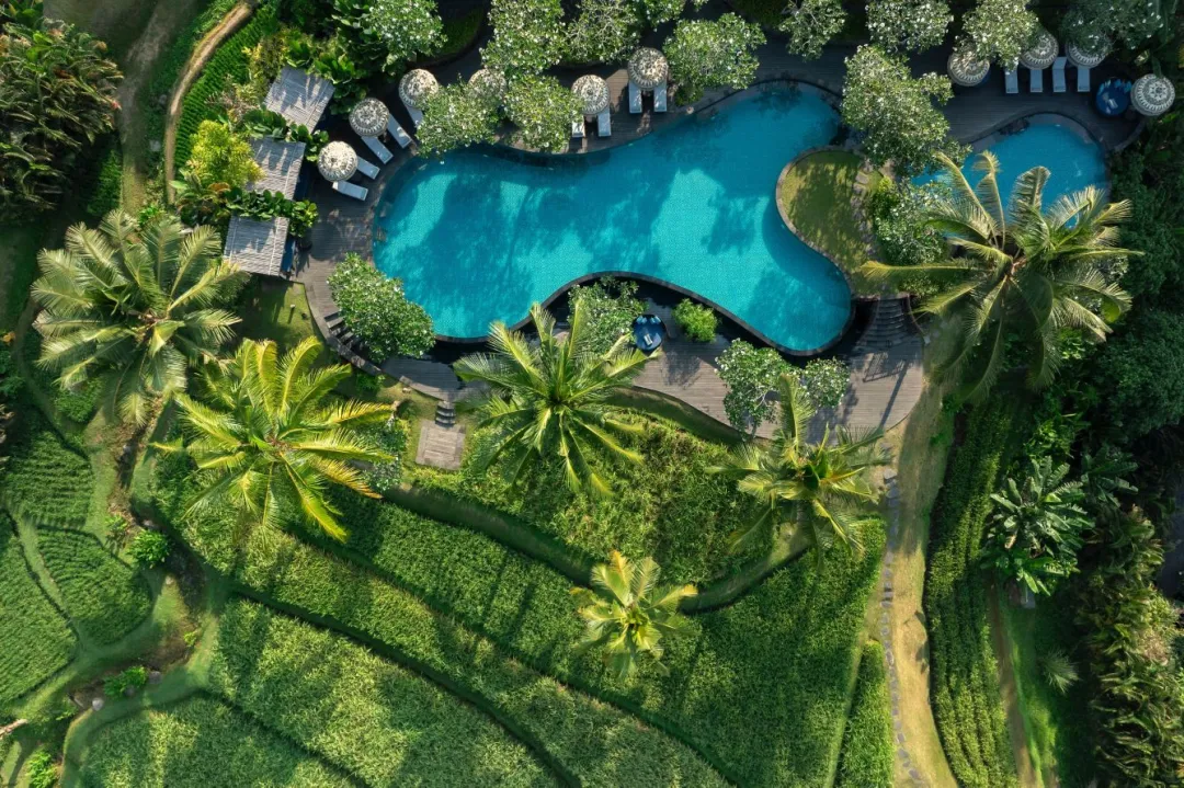 Mandapa, a Ritz-Carlton Reserve - Pool Aerial View