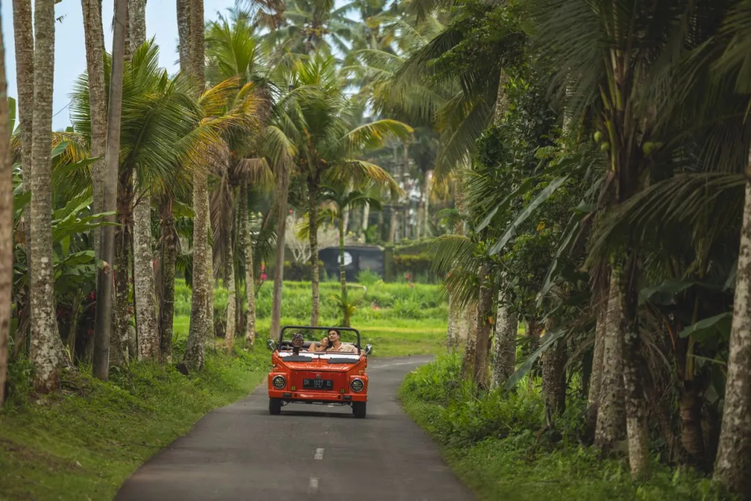 Mandapa, a Ritz-Carlton Reserve - Vintage Tour