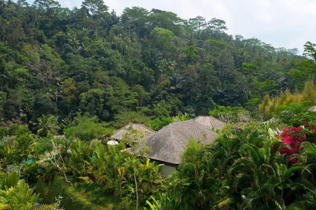 Ubud Pool Villa - Outdoor View