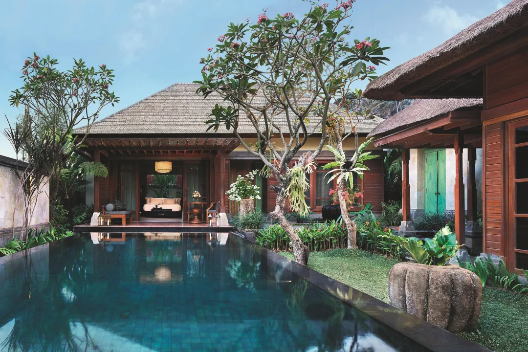 Ubud Pool Villa - Pool