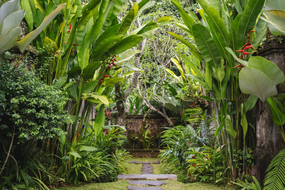 Riverfront Pool Villa - Garden View