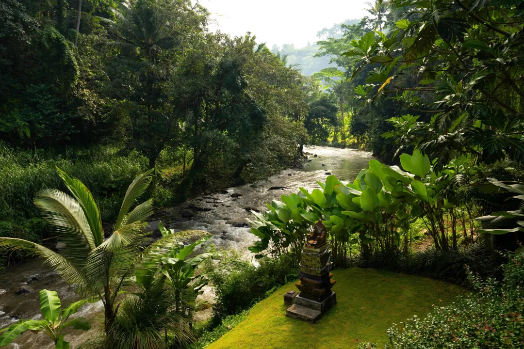 Reserve Pool Villa - Garden View