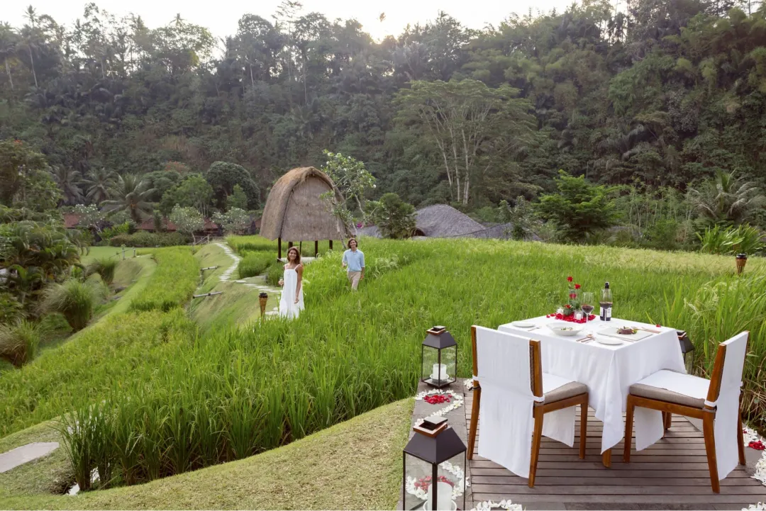 Dining Beyond