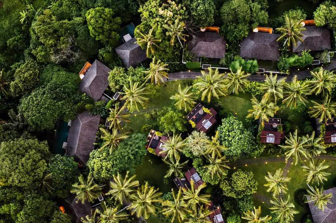 Nirjhara - Aerial View