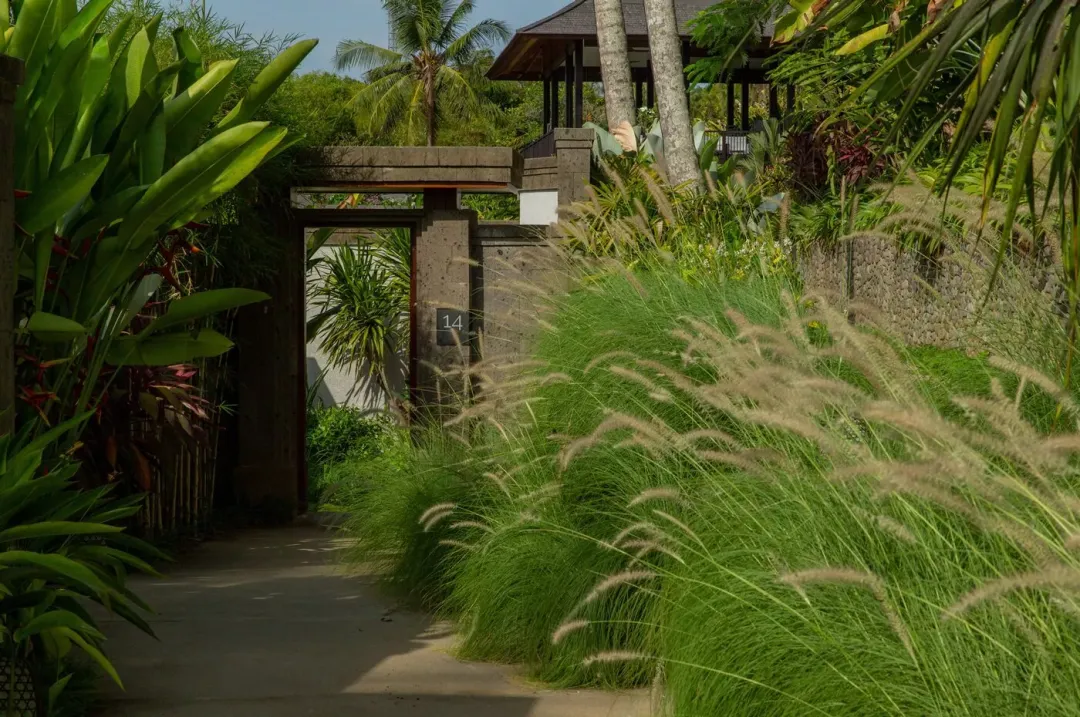 Nirjhara - Suite Entrance