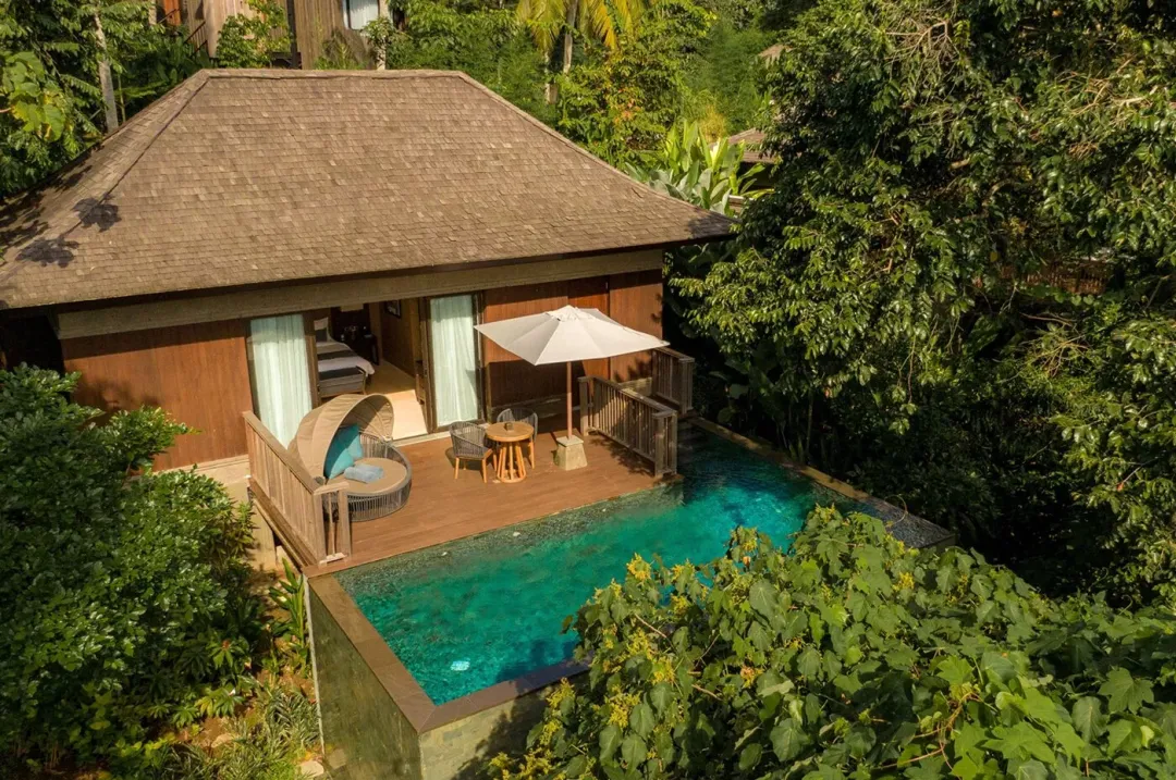 Jungle Pool Pavilion -Villa Over View