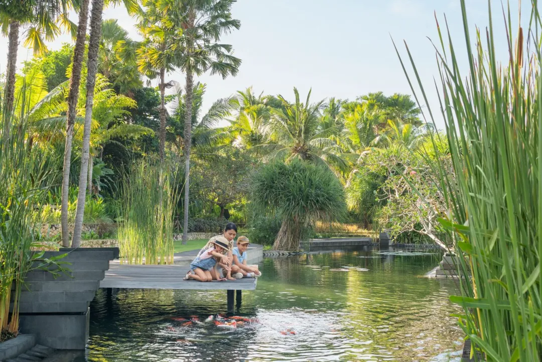 The Ritz-Carlton, Bali - Kids Fish Feeding