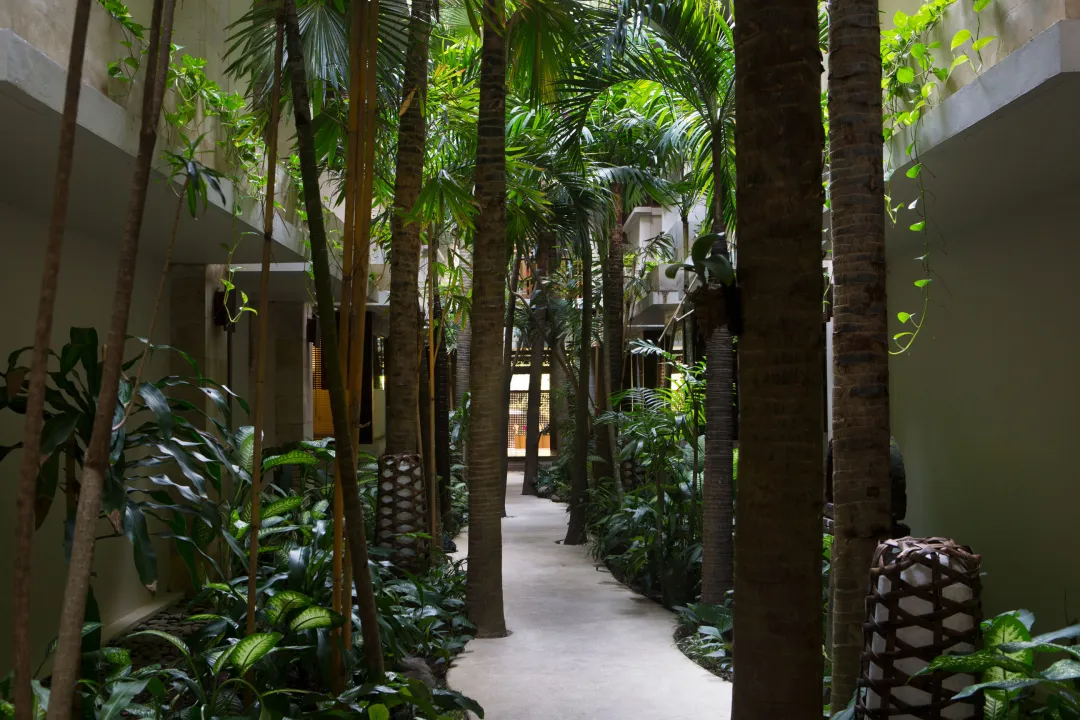 Ubud Village Hotel At Monkey Forest - Garden View