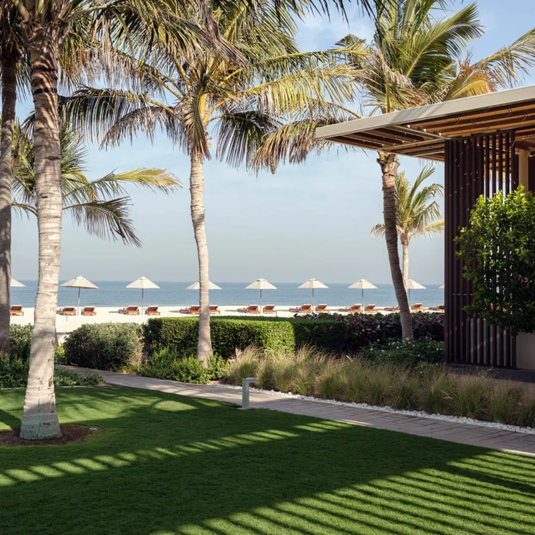 Odysseys Travel - Al Zorah Beach Resort - Beach Palms