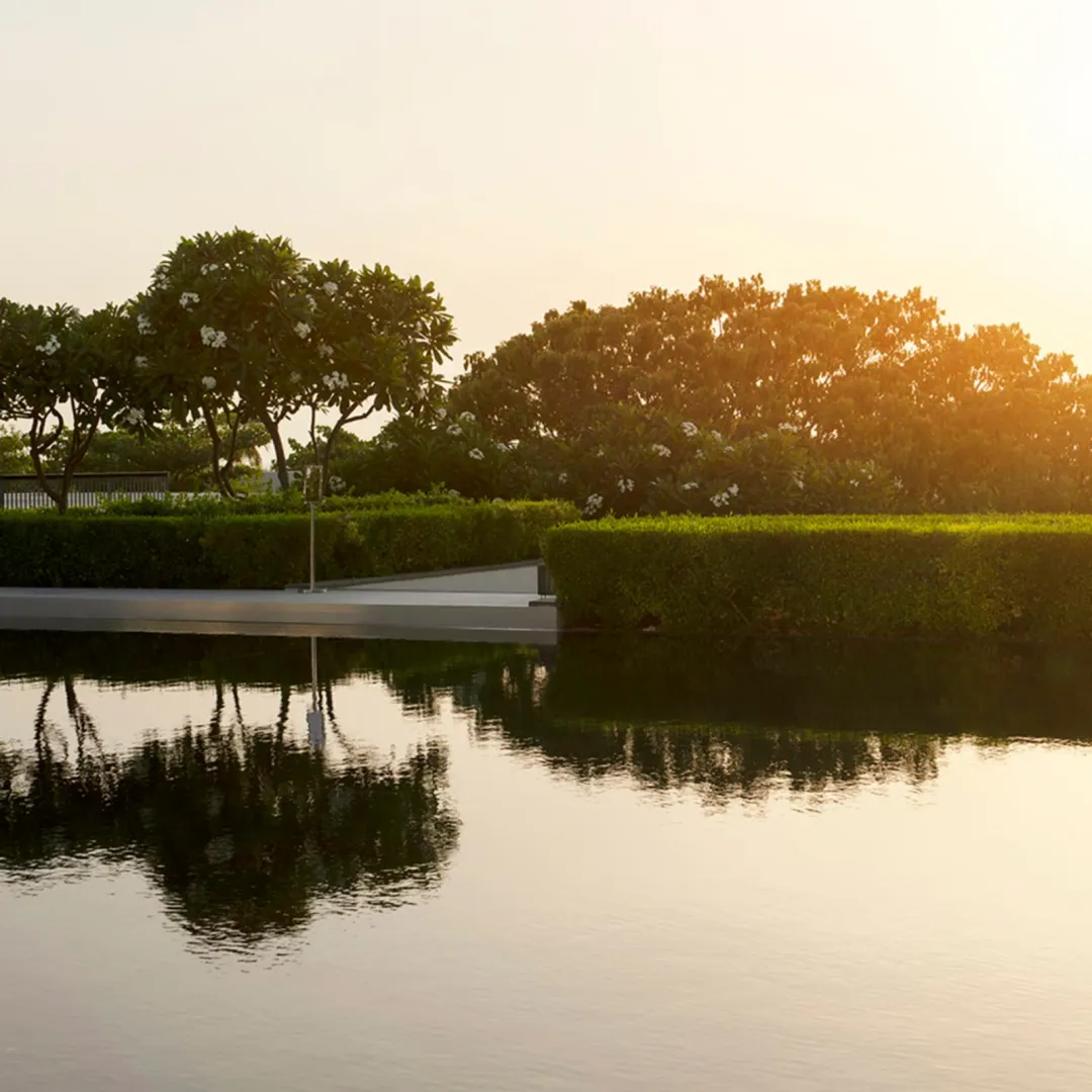Odysseys Travel - Al Zorah Beach Resort - Mangroves