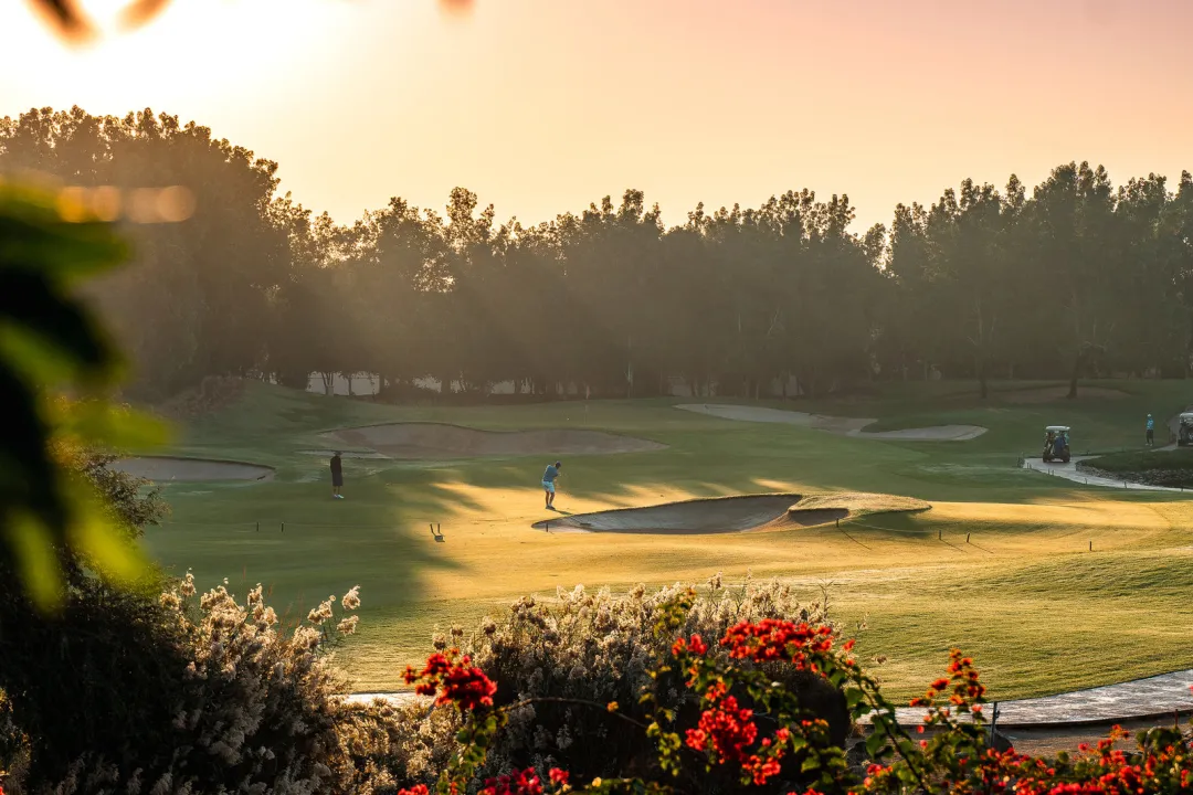 Odysseys Travel - VOGO Abu Dhabi Golf Resort - Golf Course Sunrise