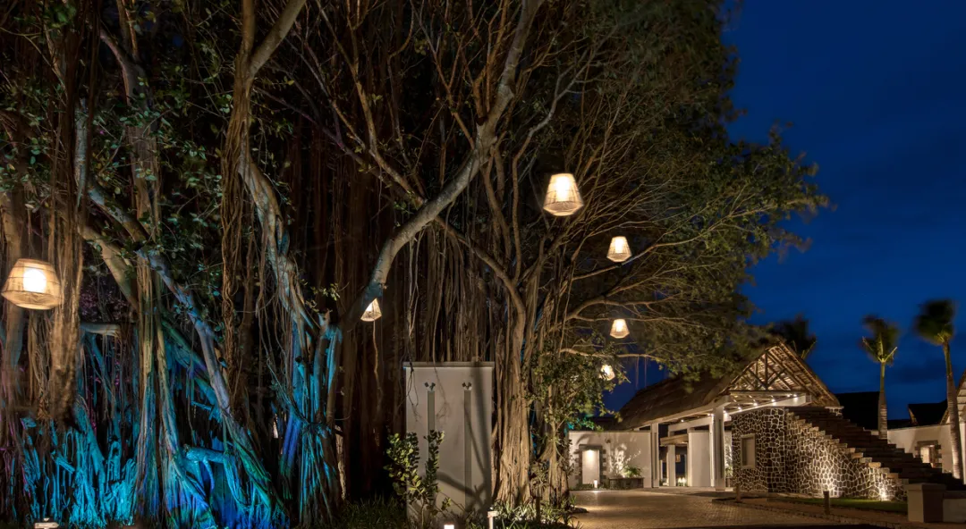 Odysseys Travel - Preskil Island Resort Mauritius - Gardens - Banyan Tree at Night