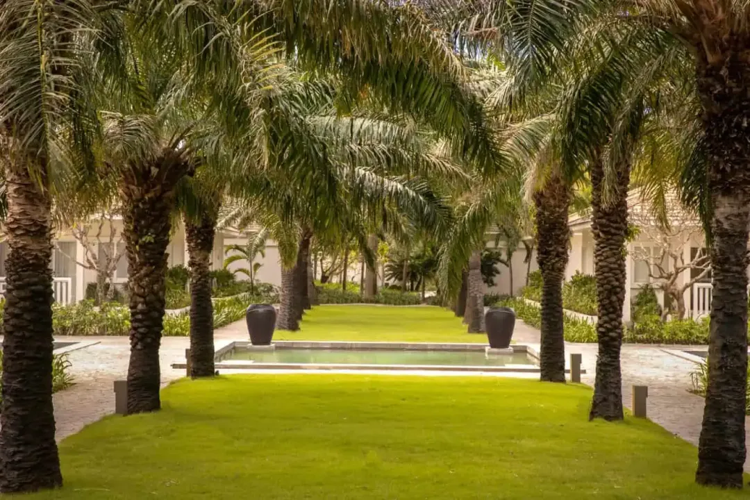 Victoria Hoi An Beach Resort - Resort Palm Trees Aeria