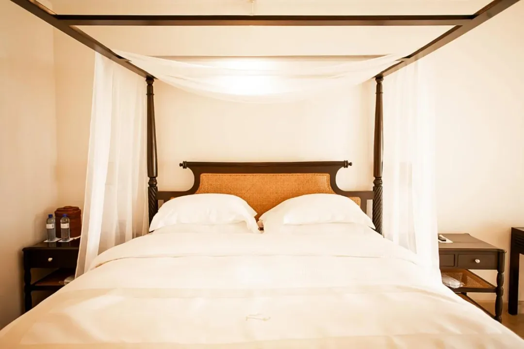 Odysseys Travel - Casa Colonial Beach and Spa - Junior Suite Tropical View - King Bed