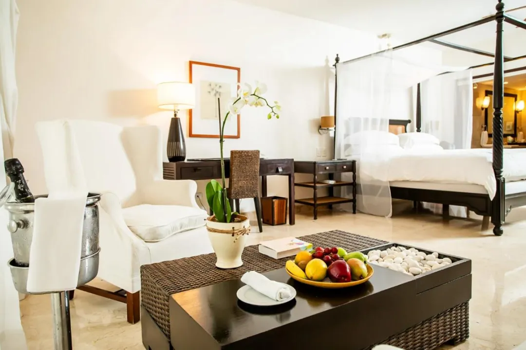 Odysseys Travel - Casa Colonial Beach and Spa - Junior Suite Ocean Front - King Bed