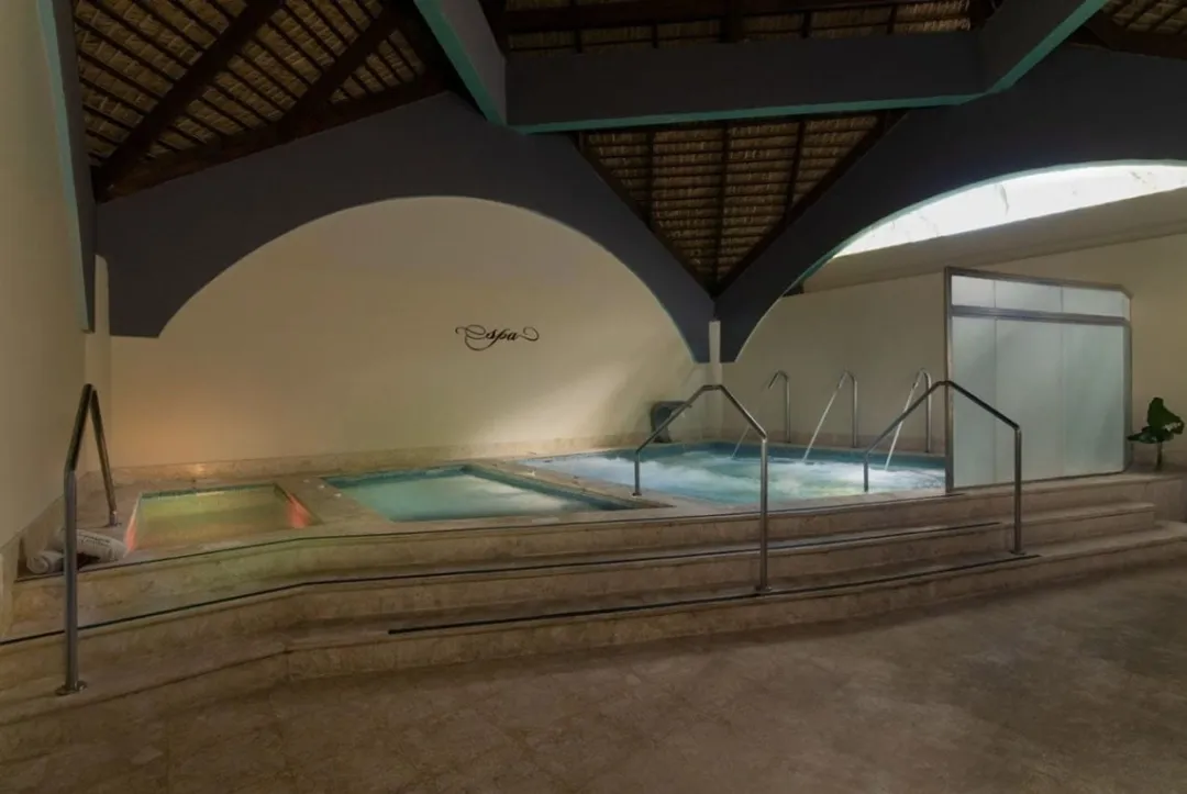 Odysseys Travel - Impressive Premium Punta Cana - Spa Pool