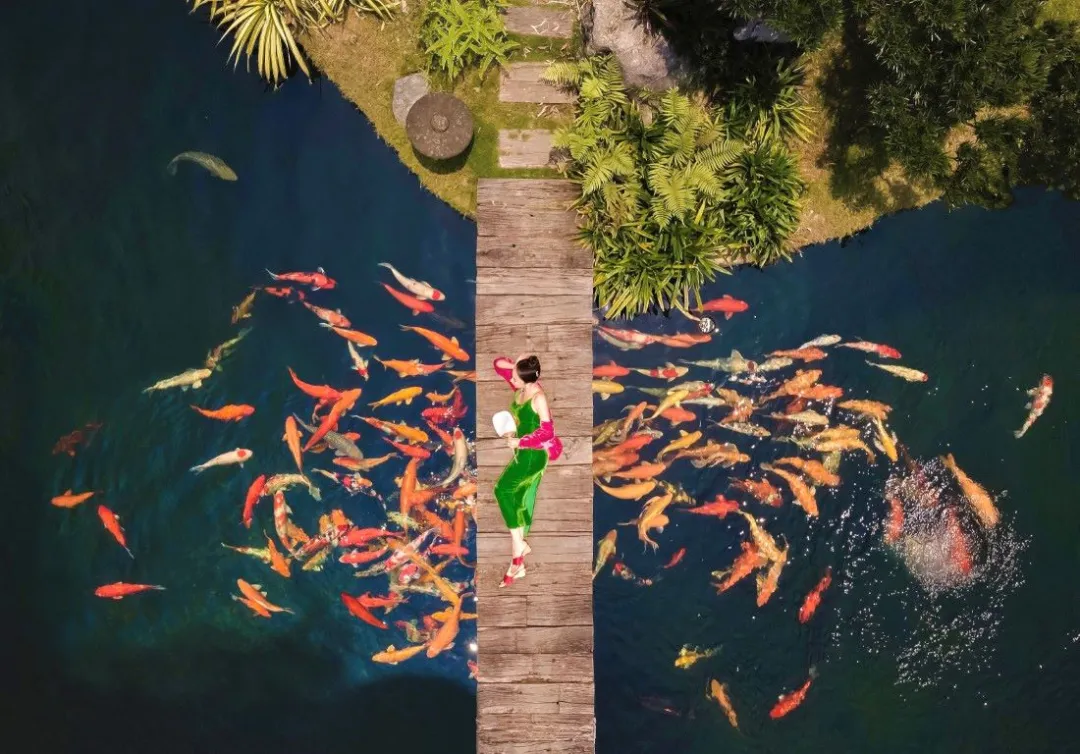 aNhill Boutique, Hue - Fish Watching