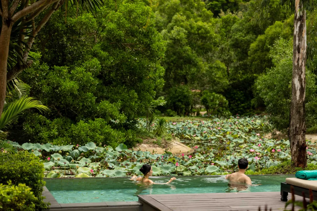 Banyan Tree Lang Co - Seasonal of Lotus