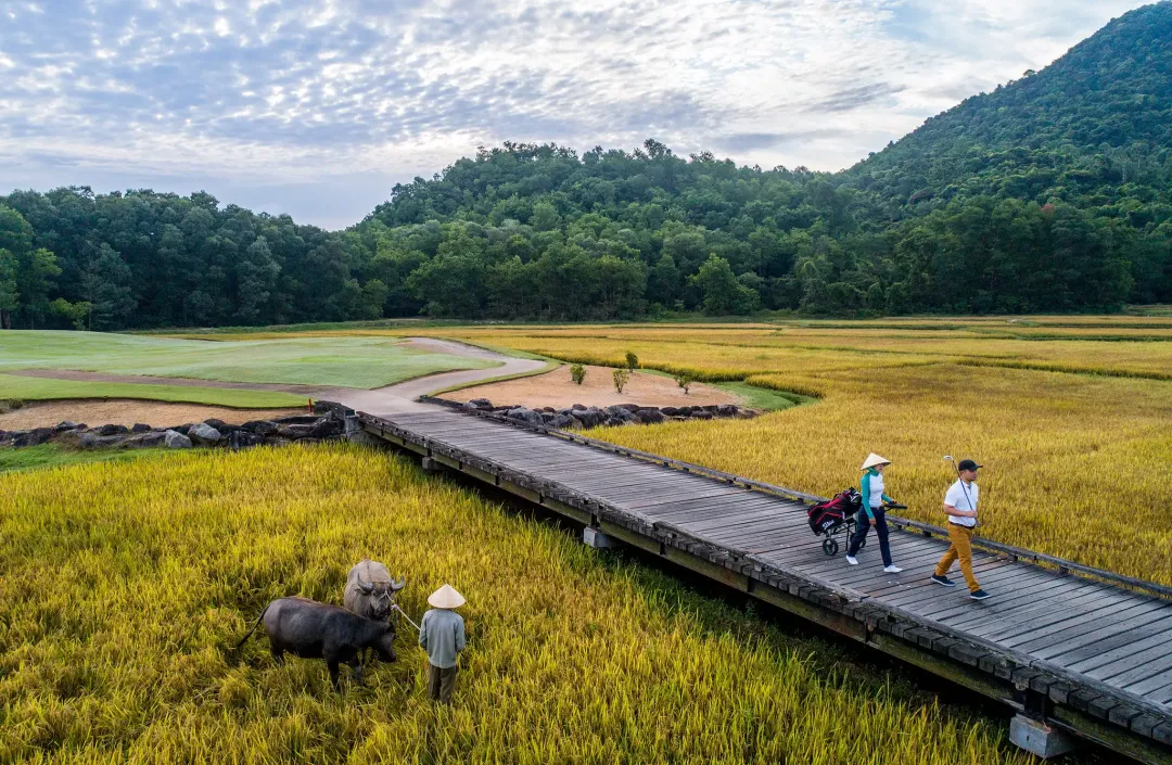 Banyan Tree Lang Co -Golf Course