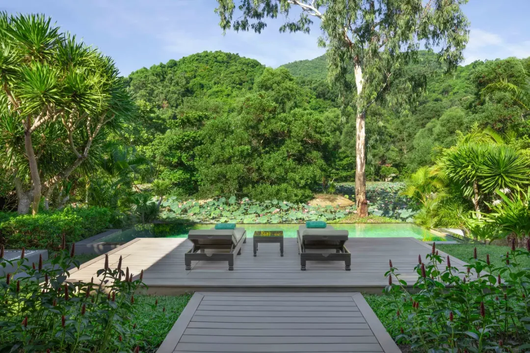 Lagoon Pool Villa - Pool Lounge