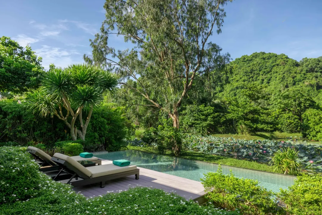 Lagoon Pool Villa - Pool