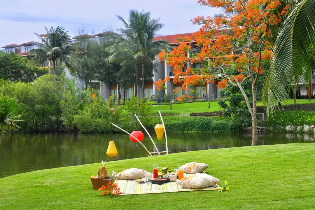 Angsana Lang Co - Picnic