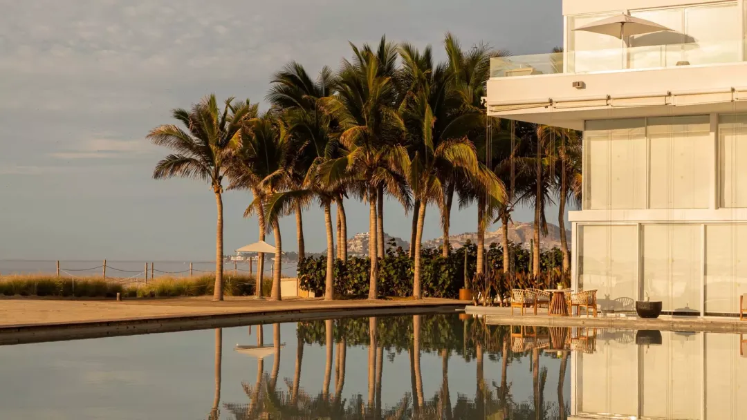 Odysseys Travel - Viceroy Los Cabos - Palm Grove Pool