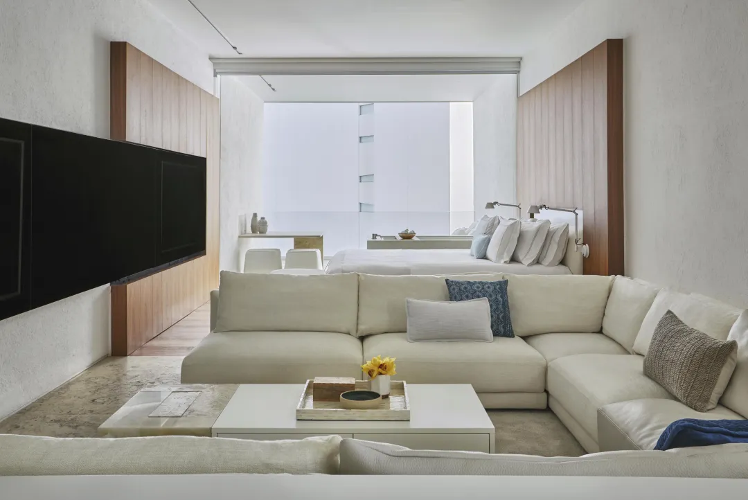 Odysseys Travel - Viceroy Los Cabos - Resort View Junior Suite - Living Area