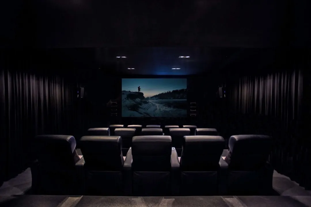 Odysseys Travel - Viceroy Los Cabos -Cinema