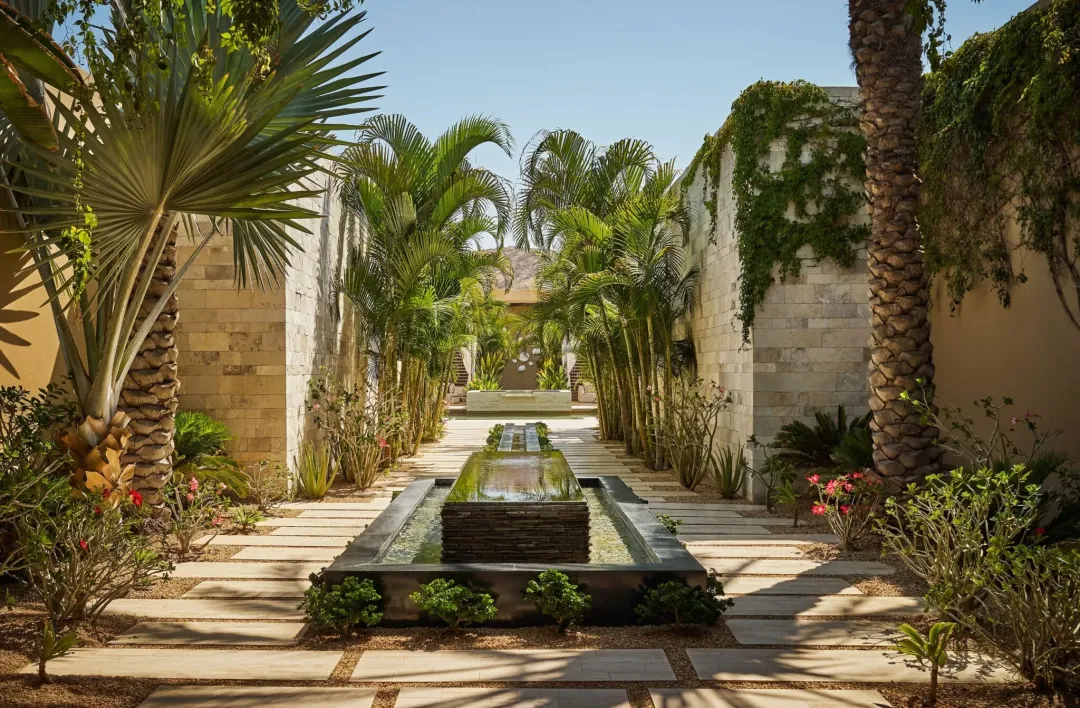 Odysseys Travel - Montage Los Cabos - Resort - Spa Garden