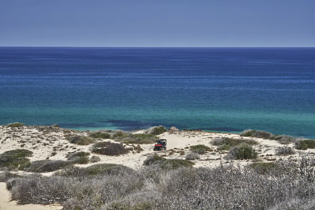 Odysseys Travel - Four Seasons Resort Los Cabos - Beach Dunes