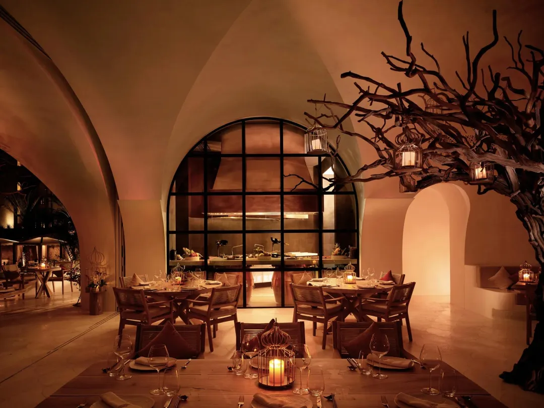 Odysseys Travel - Las Ventanas al Paraiso - Arbol - Interior