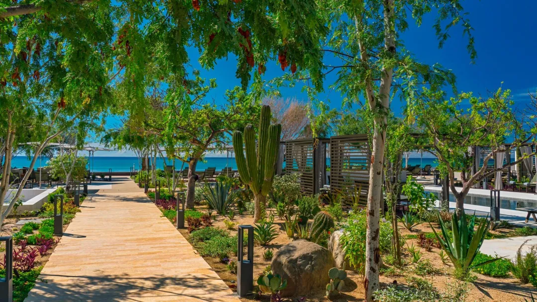 Odysseys Travel - Solaz, a Luxury Collection Resort, Los Cabos - Garden