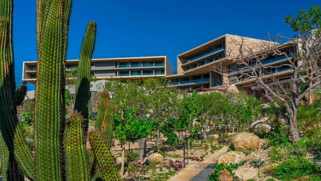 Odysseys Travel - Solaz, a Luxury Collection Resort, Los Cabos - Grounds