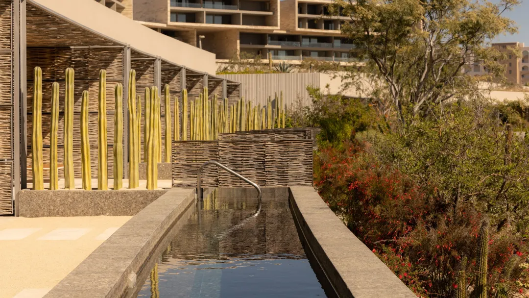 Odysseys Travel - Solaz, a Luxury Collection Resort, Los Cabos - Plunge Pool Room - Bedroom