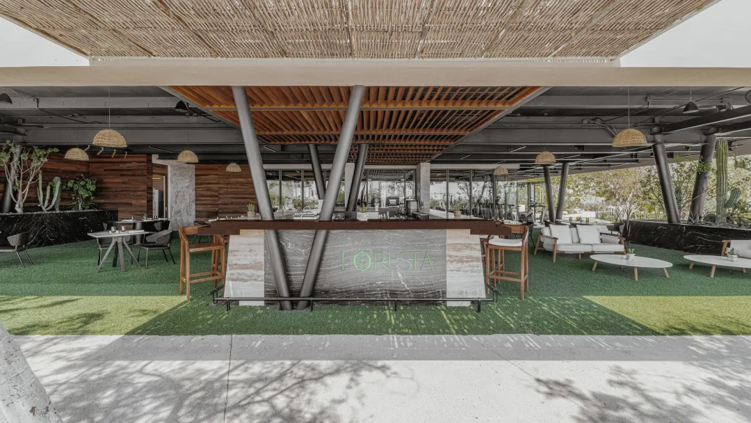 Odysseys Travel - Solaz, a Luxury Collection Resort, Los Cabos - Foresta Juice Bar - Interior