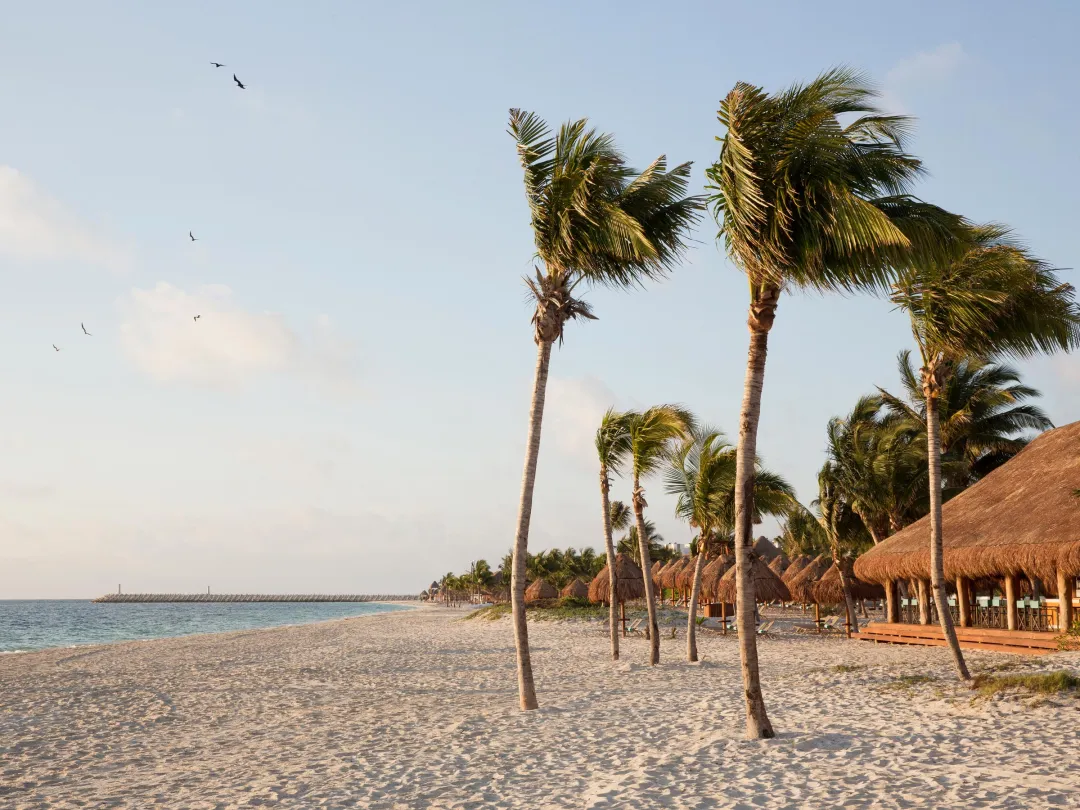 Odysseys Travel - Finest Playa Mujeres - Beach