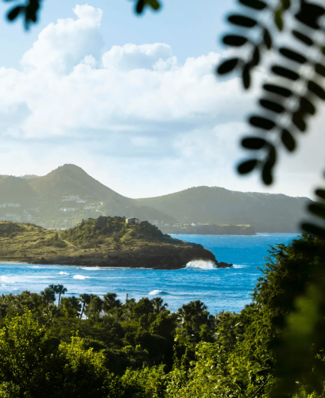 Odysseys Travel - Hotel Manapany - Coastline