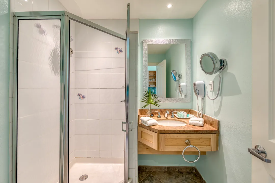 Odysseys Travel - Oyster Bay Beach Resort - Studio - Bathroom