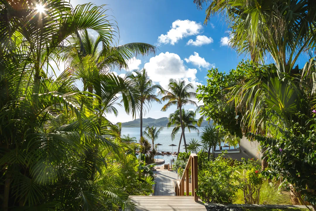 Odysseys Travel - Hotel Christopher St Barth - Palm Garden