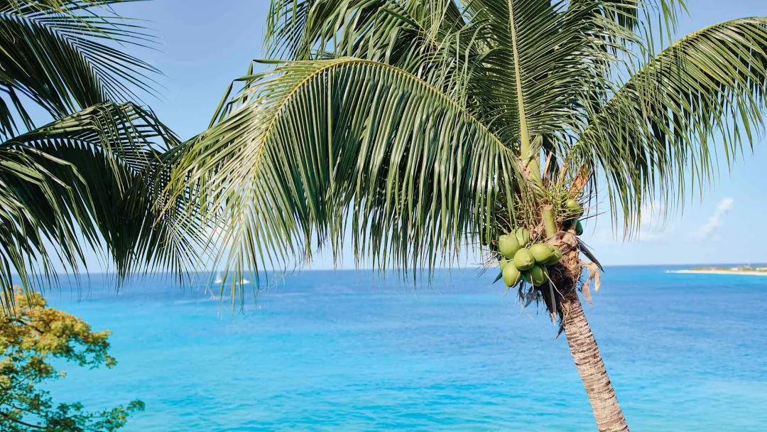 Odysseys Travel - La Samanna St Martin, Caribbean - Deluxe Ocean View Room - Ocean View