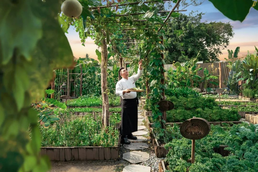 An Lam Retreats Saigon River - Organic Garden