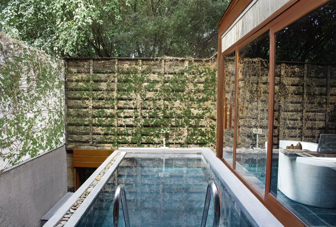 Garden Pool Suite - Pool